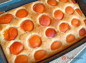 Aprikosenkuchen nach Omas Rezept, der blitzschnell vom Blech verschwindet