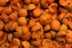 Zubereitung des Rezepts Unübertreffliche Aprikosenkonfitüre aus Omas Küche – ohne Gelierzucker, schritt 1