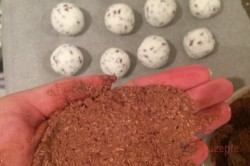 Zubereitung des Rezepts Zweifarbige FITNESS Kokos-Quarkkugeln ohne Zucker, Mehl und Eier, schritt 4