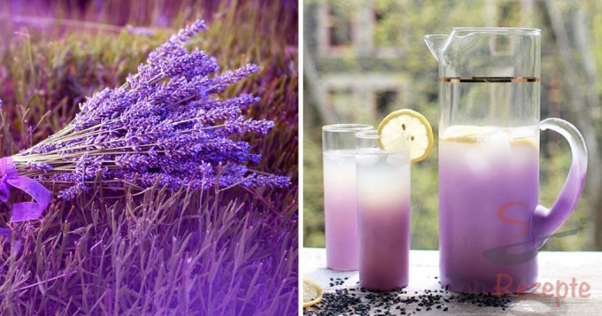 Wundermittel Lavendel und Rezepte für Lavendeltee, -limonade und -öl
