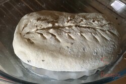 Knuspriges hausgemachtes Brot ohne Kneten – Tassenrezept, schritt 8