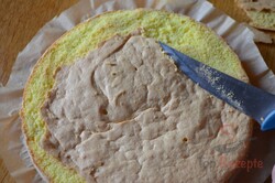 Zubereitung des Rezepts Sonnengruß – Einfacher Quarkkuchen mit Aprikosen, schritt 4