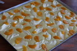 Köstlicher Kuchen mit Mandarinen und Quark - ein Tassenrezept, schritt 2