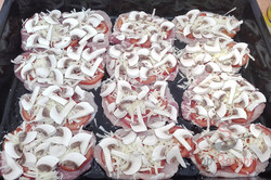 Zubereitung des Rezepts Überbackene Schweineschnitzel mit Pilzen und Tomaten, schritt 4
