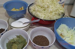 Zubereitung des Rezepts Selbst gemachtes Sauerkraut aus dem Fass - ein richtiger Vitamin-Kick, schritt 1