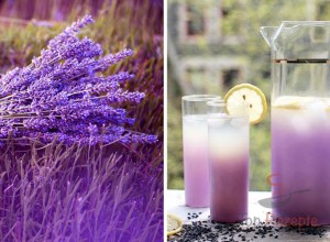 Wundermittel Lavendel und Rezepte für Lavendeltee, -limonade und -öl