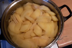 Zubereitung des Rezepts Frischer Apfel-Windhauch - FOTOANLEITUNG, schritt 5