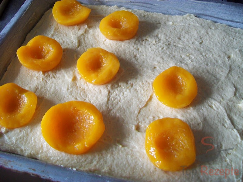 Aprikosenkuchen mit Kokosbaiser | Top-Rezepte.de