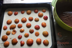 Zubereitung des Rezepts Schwarz-weißer Aprikosen-Quark-Kuchen, schritt 6
