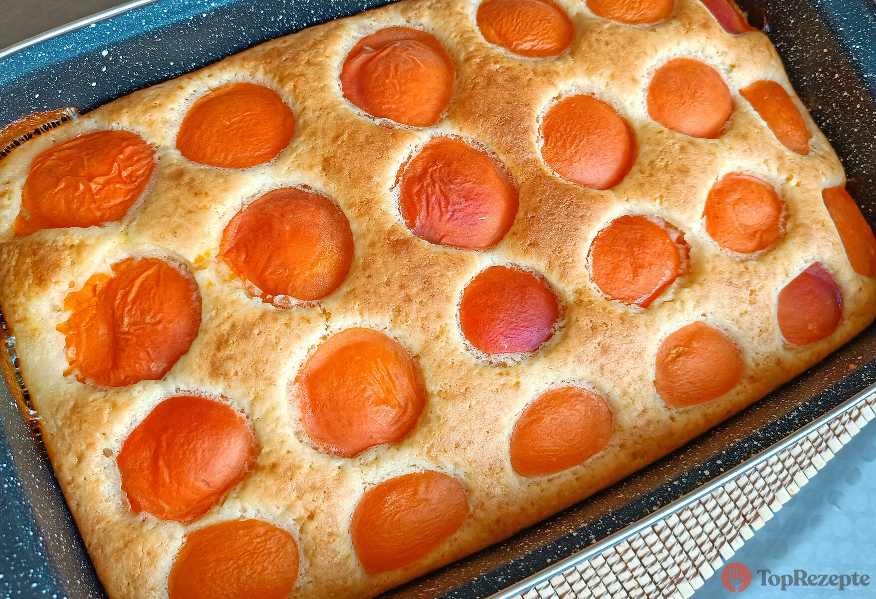 Aprikosenkuchen nach Omas Rezept, der blitzschnell vom Blech ...