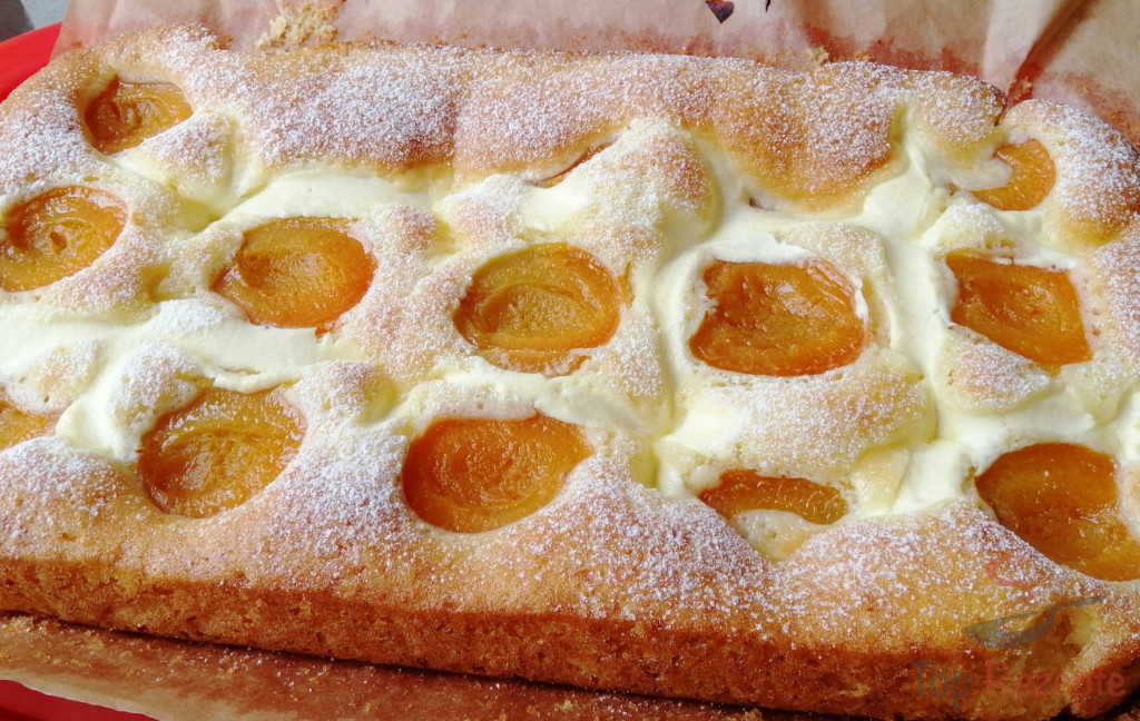 Ungarischer Quark-Aprikosen-Kuchen | Top-Rezepte.de